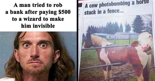 50 Wild Incidents That Would Be Hard To Believe If They Hadn’t Made The News