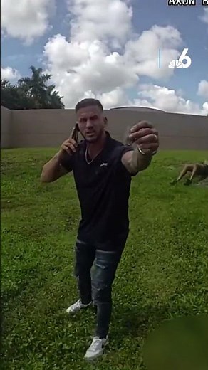Watch the tense moments after a plane crashes near Florida hospital