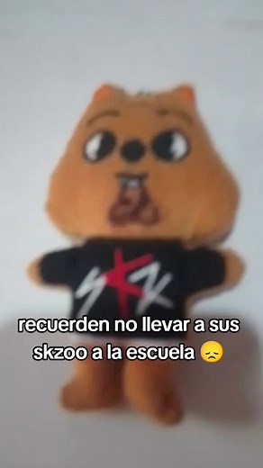 me dio cosita 😞 #skz #straykids #skzoo #hanquokka