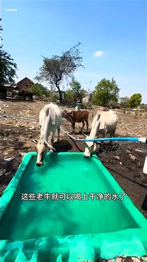 “Turning Filthy Water into Clean Life 💧🔥