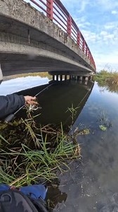 68K views · 274 reactions | #spining #ryby #ultralight 﫡 | Sławek Bor | Facebook