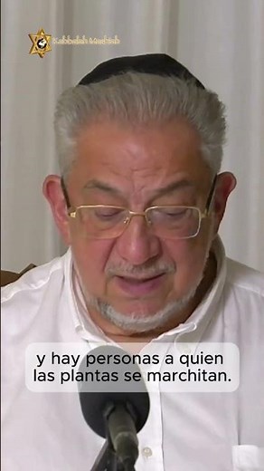 ¿Cómo se relacionan las plantas y las personas?