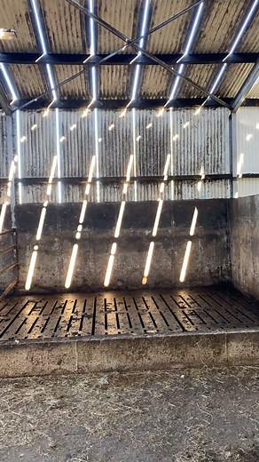 23K views · 427 reactions | 﫧#powerwashing #shed #satisfying #water #power #pressurewashing #powerwashingservices #ireland | A1 Power Washing | Facebook