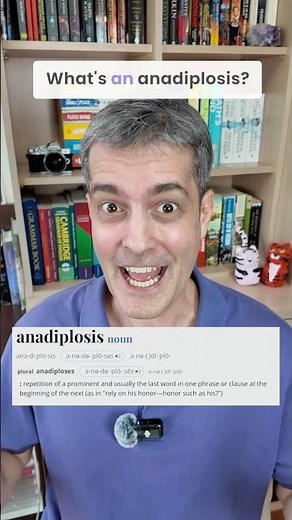 What’s an ANADIPLOSIS?