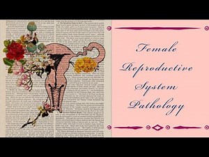 FEMALE REPRODUCTIVE SYSTEM PATHOLOGY lecture 15 ENDOMETRIAL CARCINOMA important topic
