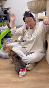 Why does your cat sleep directly on your head like you’re a human pillow with a heartbeat? Purrhaps you didn’t know—it’s not random. It’s strategy. To your cat, your head is the perfect snoozing spot: warm, still, and smelling like their favorite person. It’s not just about comfort—it’s also a sign of deep trust (and maybe a little feline domination). If your cat claims your head, face, or some other wildly inconvenient body part as their bed—tell us in the comments!And don’t forget to like, sha