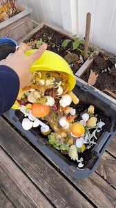434K views · 1.7K reactions | Composting in winter time ❄️ Dumping kitchen scraps and covering them with garden soil — letting nature work its magic. #CompostLife #Sustainability #EcoFriendlyLiving | Che Thompson | Facebook