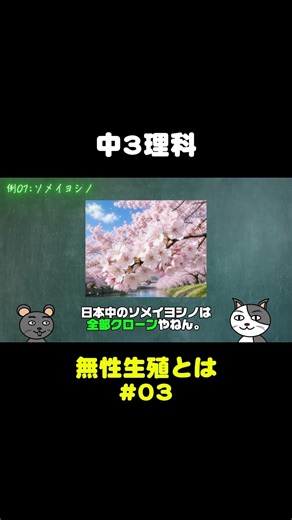 【中3理科】無性生殖#03