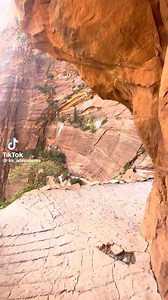 #mynaturebookadventures www.mynaturebookadventures.com | My Naturebook Adventures