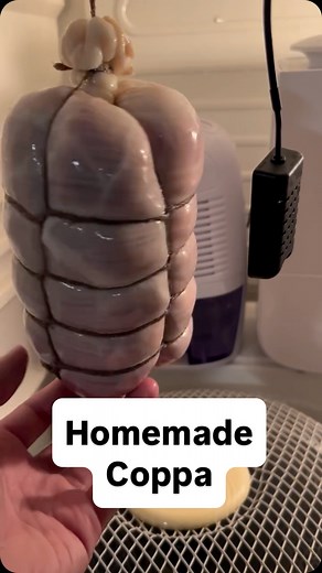Mikkel Borre on Instagram: "How to make a homemade coppa #fermentation #coppa #salumi"