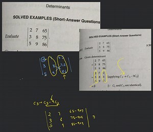 DeterminantsSOLVED EXAMPLES (Short-Answer QuestionsEvaluate ∣... | Filo