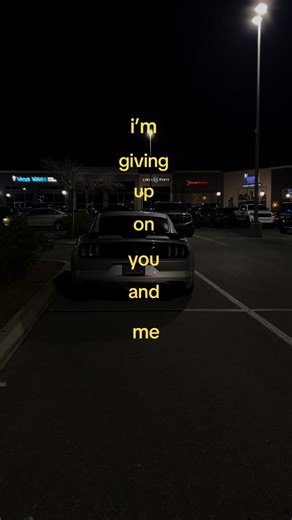 Navigating Views Problems in Car Videos