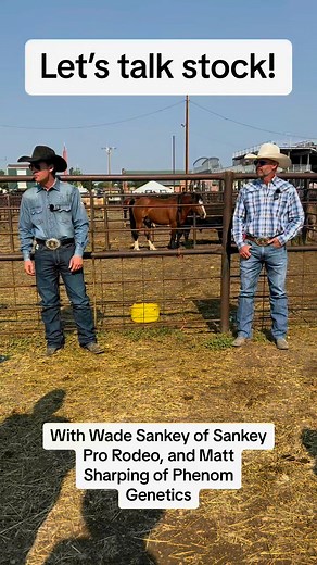 2.2K views · 36 reactions | Part 1! Stock stars Tour at Sheridan Rodeo presented by Sankey Pro Rodeo and Phenom Genetics. Listen in as Wade and Matt go over some commonly asked questions! Have some questions of your own? Comment below! #cowgirl #iamcowgirl #rodeo #stockcontractor #livestock #buckingbulls | COWGIRL Magazine | Facebook