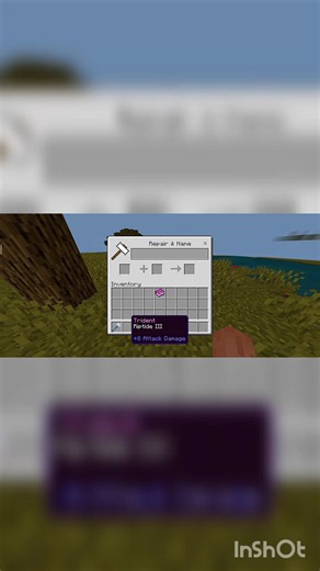 Best Enchantments For Trident 👌❤️ #minecraft