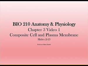 Chapter 3 video 1 Composite cell and plasm membrane slides 2-13