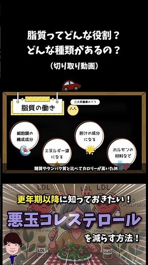 脂質の役割は？種類は？ #脂質 #脂肪 #解剖生理学