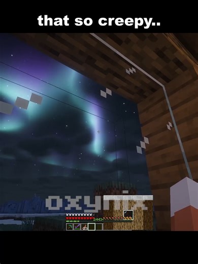 day 154 #minecraft #tiktok #memes #fyp