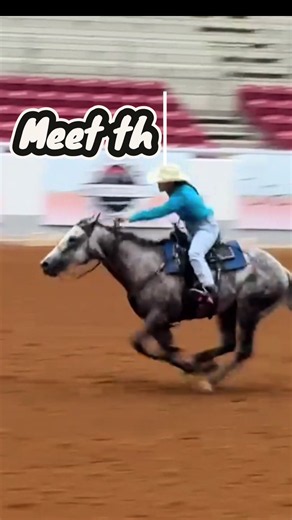 Every barn has its cast of characters… 😂❤️ Meet the crew behind Liz’s Equine Services. 🐴 The horse trainer. 🎨 The one who trains horses and keeps everyone looking good in our merch. 🎓 The future college girl who’s always up for riding one more. 🎤 The chatterbox with no off switch (you know who you are 🤣). We’re all a little different, but we share one thing in common… A whole lot of horses, a whole lot of laughs, and probably just enough chaos to keep things interesting. Now tell me… 👇 Wh