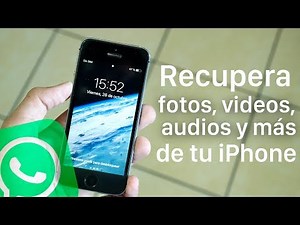 Licencias ilimitadas de iMyFone Exportador de datos & WhatsApp Recovery I Recupera tu información!