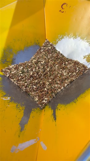 PM on Instagram: "Try eating multigrain, and if it suits your body, well and good, otherwise you can use different grains on different days. . . . . . . . . #gymmotivation #gymlife #desi #diet #roti #rocks #fitlife #fitness #fitfam #fitnesslife"