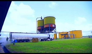 1.6K views · 83 reactions | With 6,000 hectares of oil palm, 1,000...