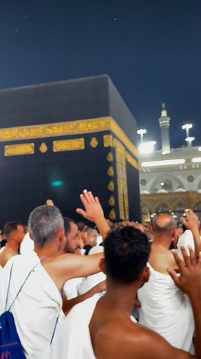 536K reactions · 1.8K shares | The history of #photographybegan with...