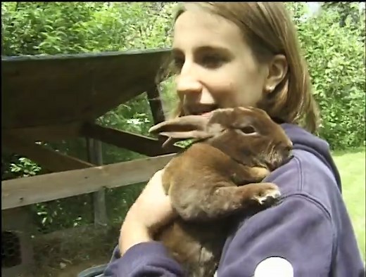 Elmo's World: Pets! (2010 DVD ISO) : Warner Home Video : Free Download, Borrow, and Streaming : Internet Archive