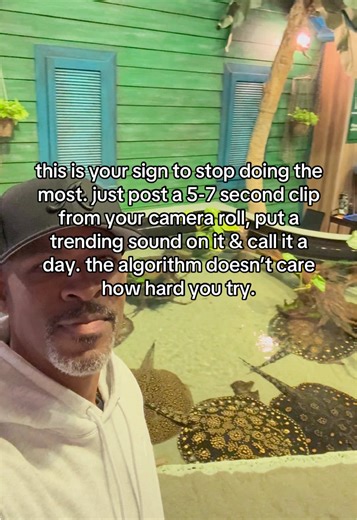 Easy post idea! Just take a 5-7 second video from your camera roll, add a trending sound and some text on the screen and call it a freaking day! 🙌🏾