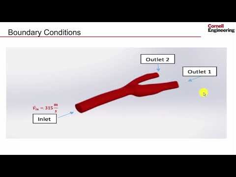 Pre-Analysis | Steady Flow in an Artery