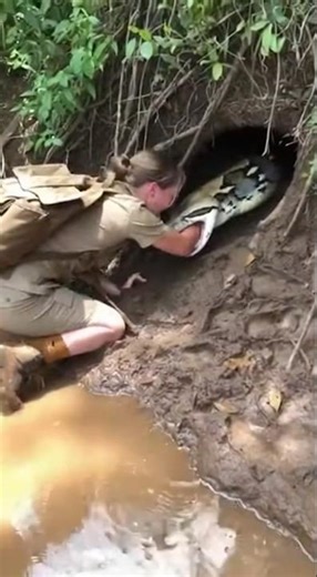 A python grabbed his arm, but the worst was yet to come.