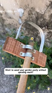 🌱☘ Gardening tips for you, follow for daily inspiration. #progardening #gardeninspiration #flowers #garden #plant #gardening #green #houseplants #plantlover #indoorplants #flowers #garden #plants #plantlife #gardener #gardenlove #mygarden | The Green Corner