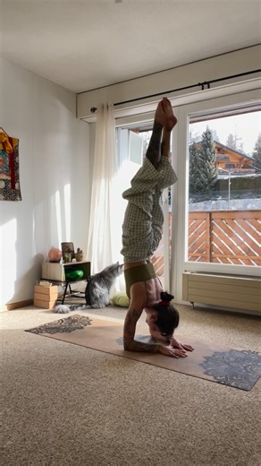 𝐋𝐨𝐮𝐢𝐬𝐞 ✦ 𝗒𝗈𝗀𝖺 · 𝗌𝗈𝗇𝗈𝗍𝗁é𝗋𝖺𝗉𝗂𝖾 · 𝗆𝗂𝗇𝖽𝗌𝖾𝗍 on Instagram: "✹ Yoga avancé ? On pense souvent (moi la première) qu’une pratique de yoga avancée se résume à des postures physiques toujours plus impressionnantes 🤸‍♀️ On oublie que les asanas ne sont qu’une première étape ! As-tu déjà essayé de rester assis.e, sans bouger, ne serait-ce que 10 minutes à observer tes pensées ? Imagine maintenant rester une heure, revenir encore et encore au souffle L’utiliser comme ancrage quand