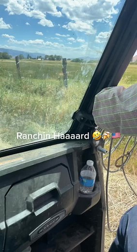 Ranching Adventures: Managing Cattle in the Countryside