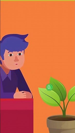 How Do Plants Breathe? 🌱 Amazing Plant Science