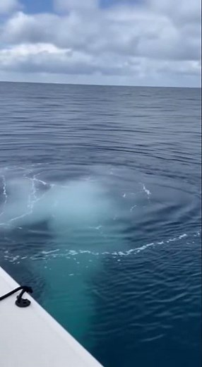 Mesmerizing Methane Bubble Plumes Revealed