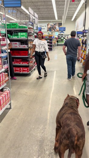 Did y’all hear what the lady say?😂😂 #xlamericanbully #bigdogs #reactions #thishowwedoit