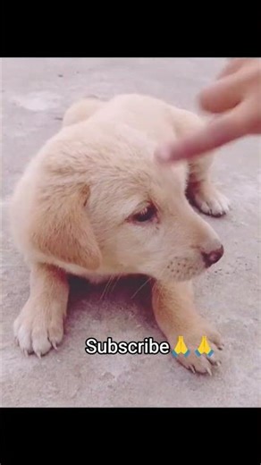 mai ye dil ke jakhmon ko dekh 💔😥#sad #viralreel #shorts #ytshorts #shortsviral #viral 🔥