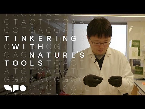 Tinkering with Nature’s Tools: The CRISPR Pioneer Feng Zhang