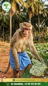 Best Agriculture Solution Provider in India | Complete Farming Solutions | Anandha Agriculture