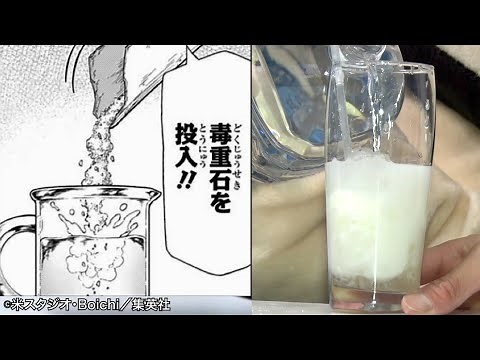 【Dr.STONE】カルピスって実際作れるのか!?ガチな科学実験で検証してみた【リアル漫画再現】
