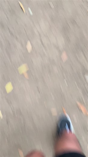 Another 5 miles in the books!!! Keep on moving #trailrunning #running #5milesrun #carrytheboatsandthelogs