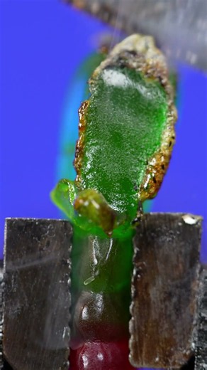 Red Hot Blade vs Gummy Worm ASMR #satisfying #insects #asmr #crystallized #experement #relaxing