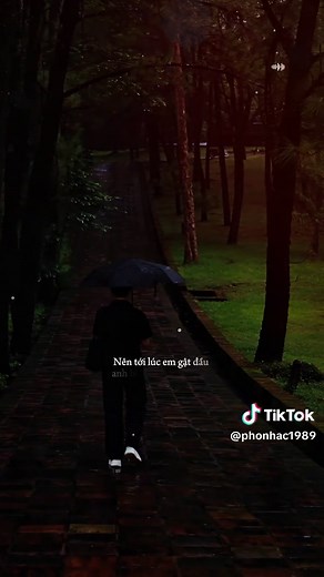 Pháo Hoa Lệ Rơi — Nhạc Buồn Tâm Trạng: Lời nhạc và cảm xúc
