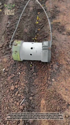 Genius Farming Hack: DIY PVC Seed Launcher.