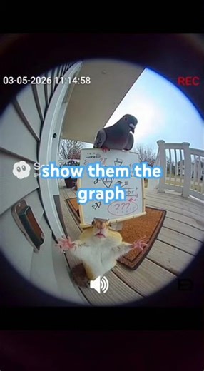 The data!!? #funny #memes