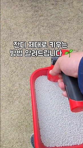잔디 제대로 키우는 방법 🌱에어레이션 해주고 비료주고 물까지 #잔디관리 #잔디비료 #정원관리 #전원주택 #마당관리 쿠팡 파트너즈 활동을 통해 일정의 수수료를 제공 받을 수 있습니다