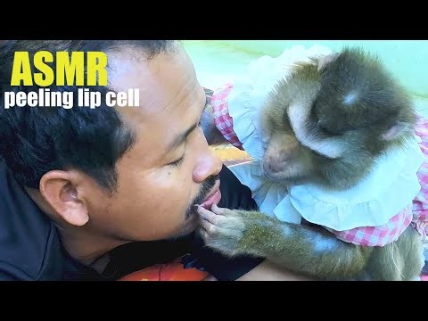 Dr. Bela Made My Day Better Continue Peeling My Lip Cell ASMR Sound