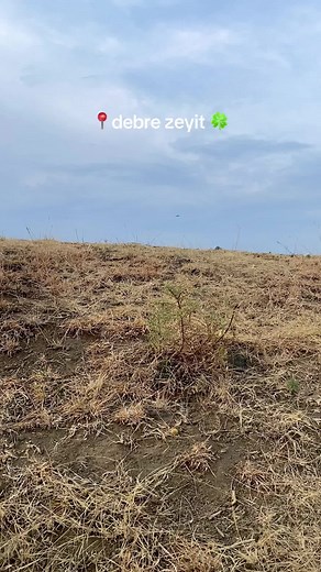 Exploring Debre Zeyit: Nature and Lakes of Ethiopia