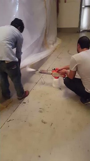 Fumigation services RAk Dubai