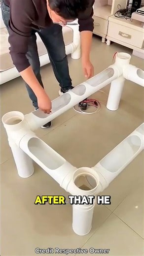 $10 Fish Table 😲🐟